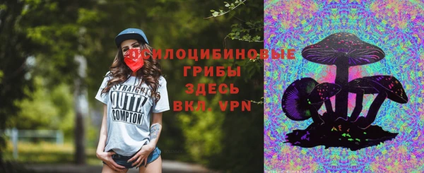 МДПВ Зеленодольск