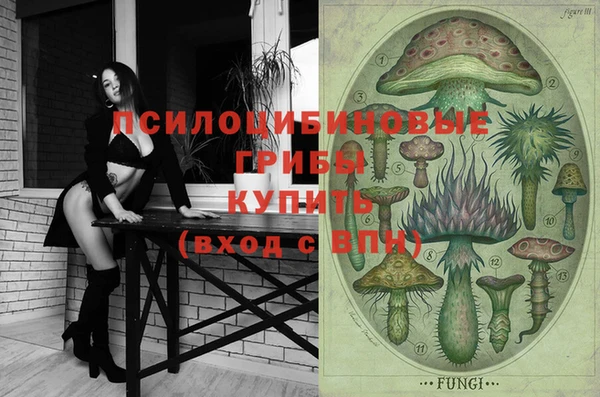 МДПВ Зеленодольск